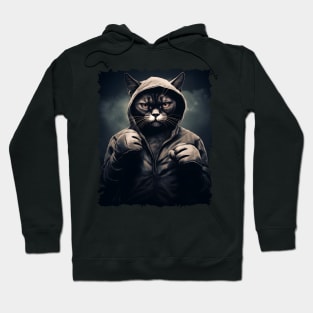 Boxer Cat - Cat Boxing Hoodie